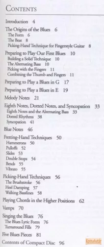 Beginning Fingerstyle Blues Guitar