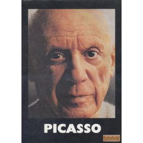 Picasso (1981)
