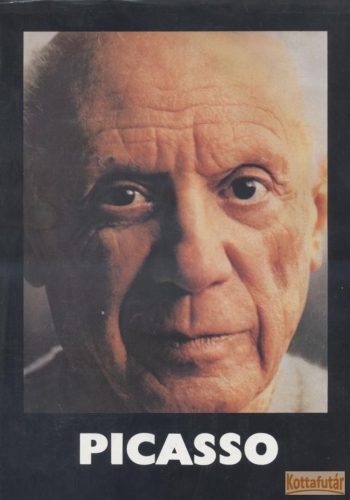Picasso (1981)