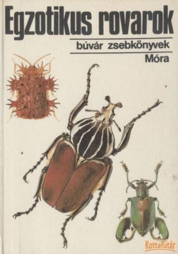 Egzotikus rovarok