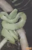 Utazás a múltba