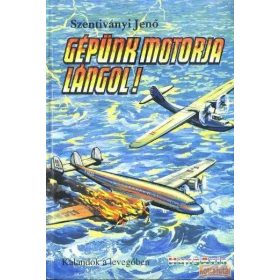 Gépünk motorja lángol!