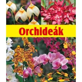 Orchideák