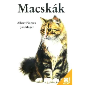 Macskák (1989)