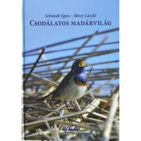Csodálatos madárvilág