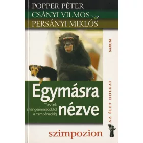 Egymásra nézve