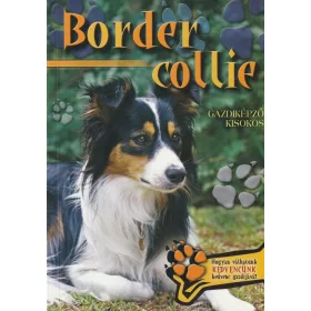 Border ​collie