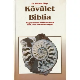 Kövület Biblia