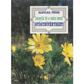 Ismerjük fel a vadon termő gyógynövényeket!