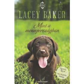 Mint a mennyországban