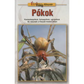Pókok (2006)