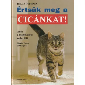 Értsük meg a cicánkat!