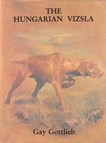 The hungarian vizsla