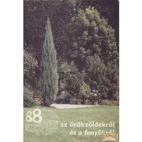 88 színes oldal az örökzöldekről és a fenyőkről