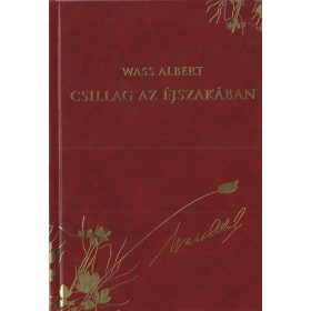 Csillag az éjszakában