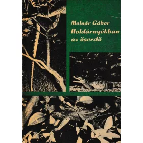 Holdárnyékban az őserdő