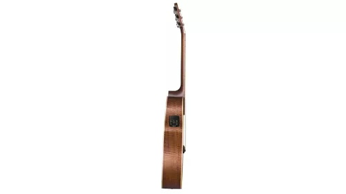Baton Rouge T22S/ACE elektroakusztikus gitár