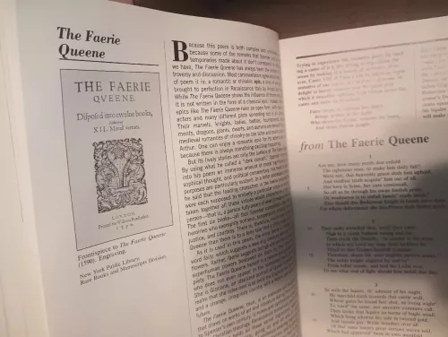 Elements of Literature - Literature of Britain (Sixth Course)
