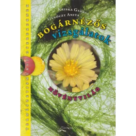 Bogárnézős vizsgálatok - növényvilág