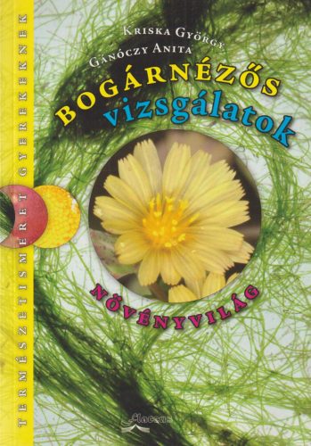 Bogárnézős vizsgálatok - növényvilág