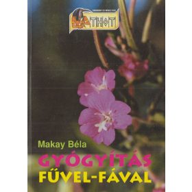Gyógyítás fűvel-fával