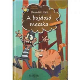 A bujdosó macska