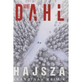 Hajsza (Arne Dahl)