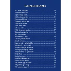 Iskolai kóruskotta