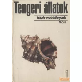 Tengeri állatok 1.