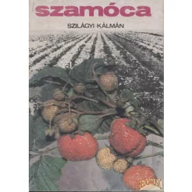 Szamóca