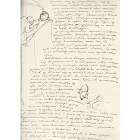 Egy őrült emlékiratai