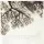 Suy, Nibs van der  & Buttery, Guy - In the Shade of the wild Fig (CD)