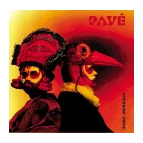 Payé - Homo Musician (CD)