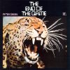 Peter Green - The end of the Game (CD)
