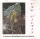 Vae Victis (CD)