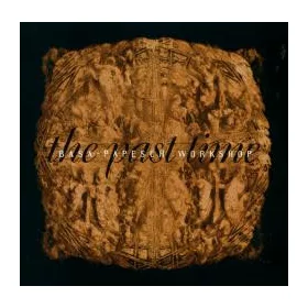Basa-Papesch Workshop - The past time (CD)