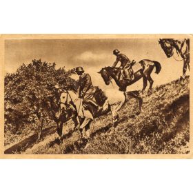 A jó lovas katonának, de jól megyen dolga