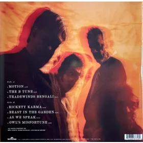   Fleck, Béla - Hussain, Zakir - Meyer, Edgar - As We Speak (LP)