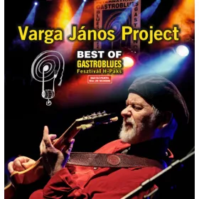 Varga János Project - Best of Gastroblues (LP)