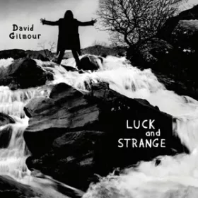 Gilmour, David - Luck and Strange (LP)