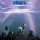 Sky - 4 Forthcoming (LP)