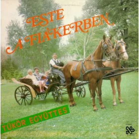 Tükör Együttes - Este a fiákerben (LP)