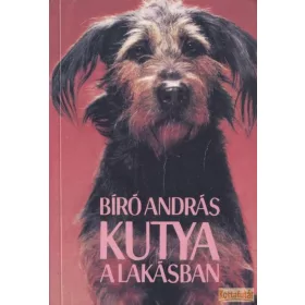 Kutya a lakásban