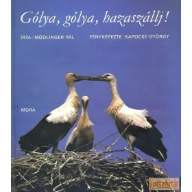Gólya, gólya, hazaszállj!