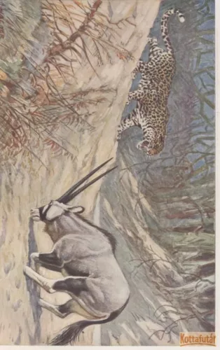 Kosmos. Handweiser für Naturfreunde. Zentralblatt für das naturwissenschaftliche Bildungswesen. 29. Jahrgang 1932