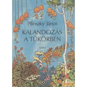 Kalandozás a tükörben