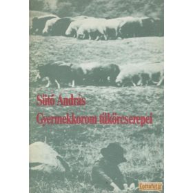 Gyermekkorom tükörcserepei