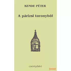 A párizsi toronyból