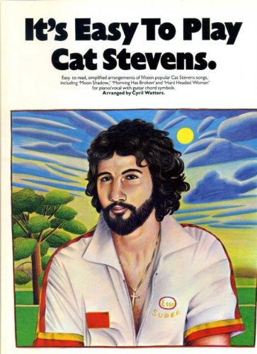 It's Easy To Play Cat Stevens