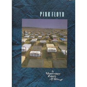 Pink Floyd - A Momentary Lapse Of Reason